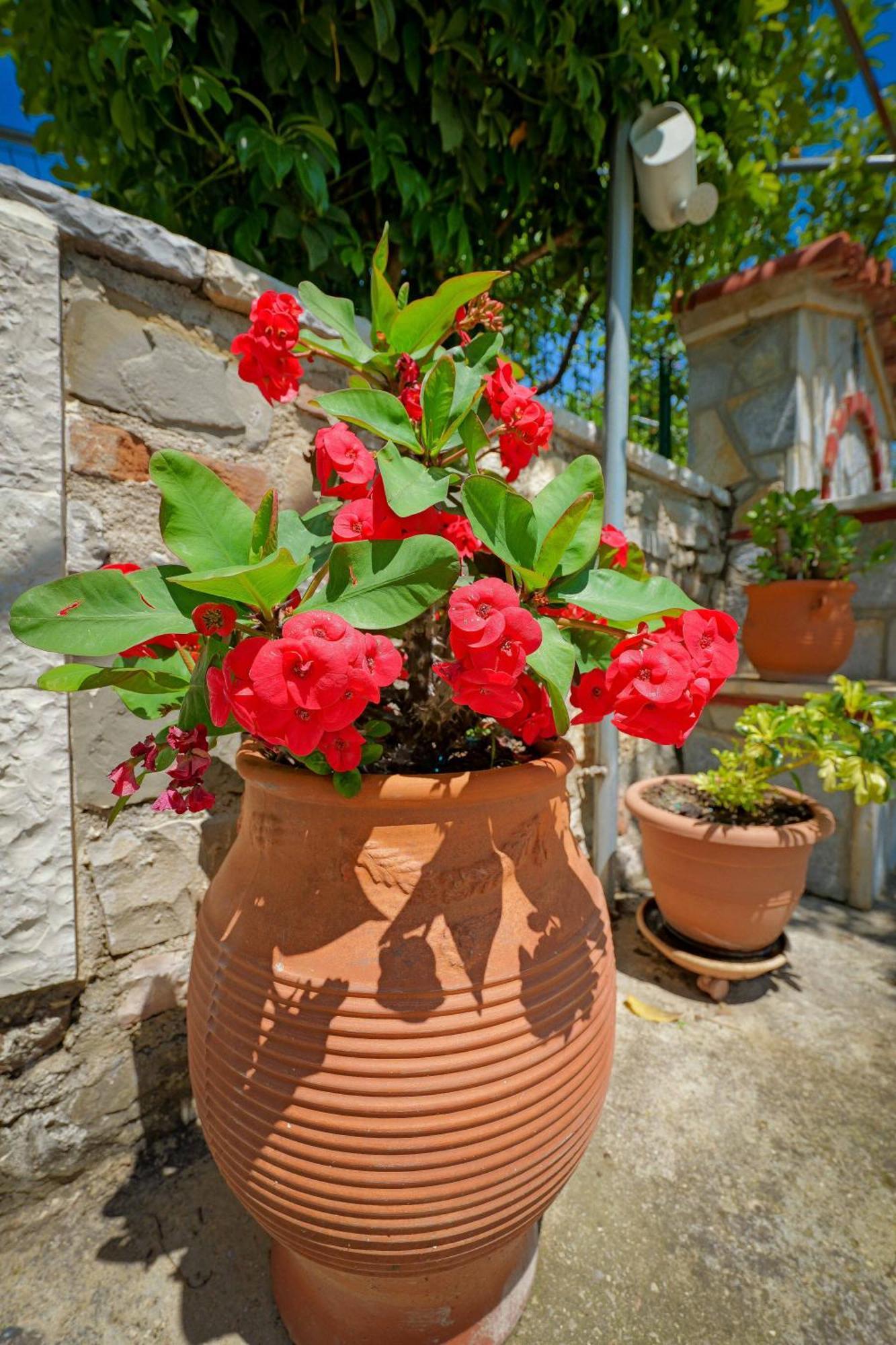 Shena The Farm Boutique Hotel Mesopotam Buitenkant foto